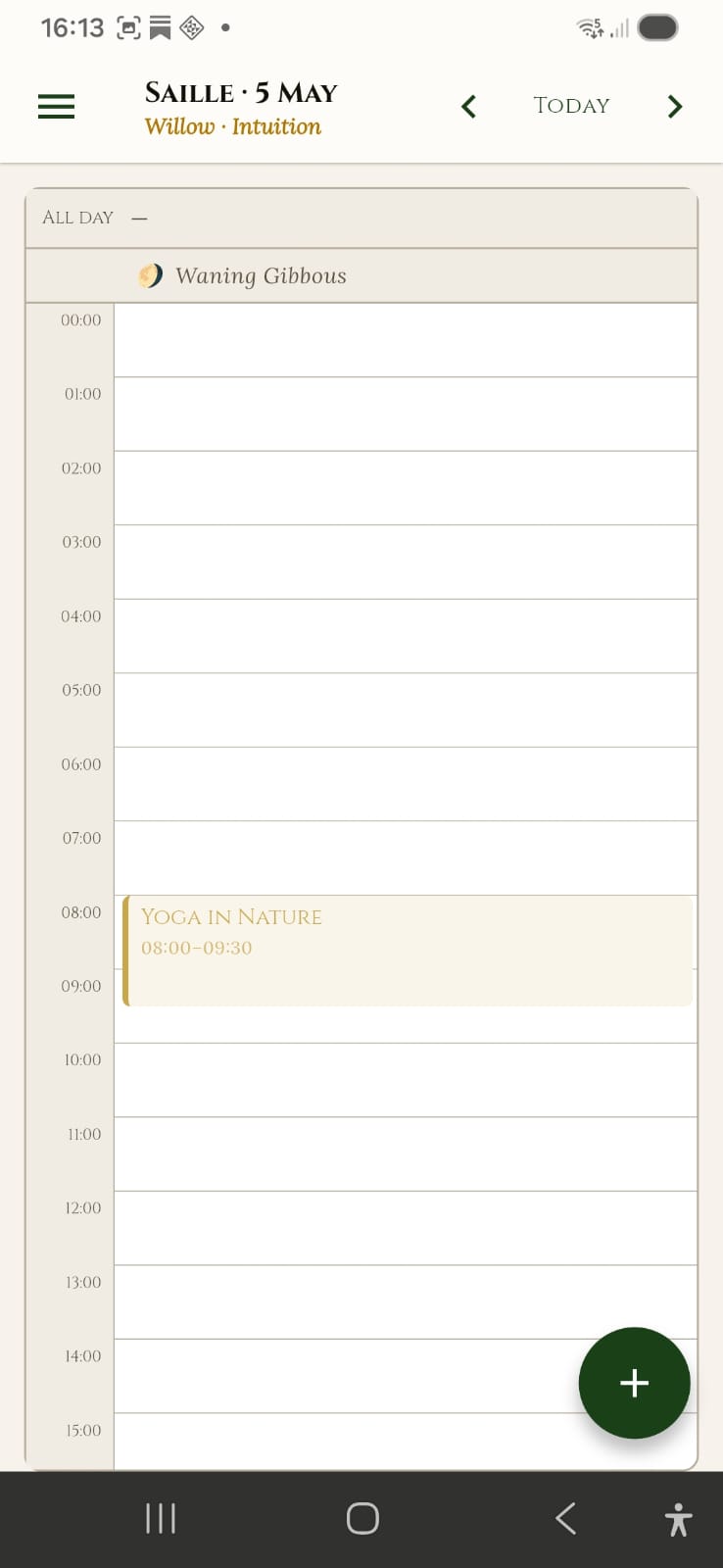 Dagweergave
Dagdetailweergave van Fearn Dag 18 — tijdlijn met gekleurde eventblokken, all-day balk bovenaan, huidige tijd gemarkeerd.